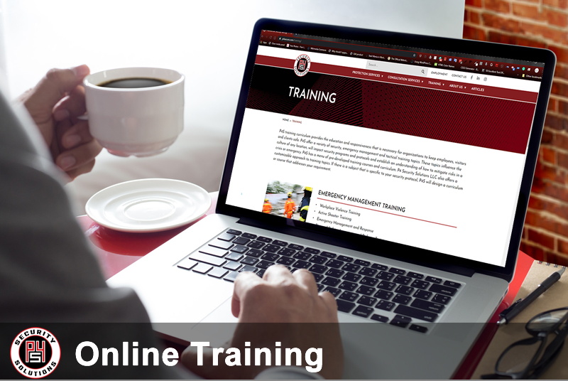 P4 Security Solutions Online Training